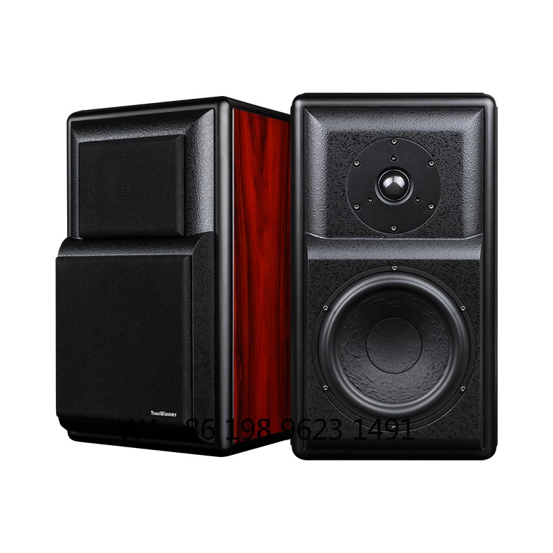 Altavoz de Estantería Hi-Fi, T - Speaker Driver reseña y precio