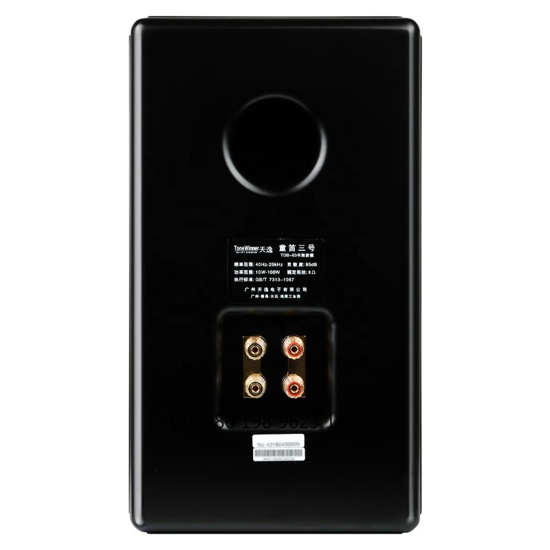 Altavoz de Estantería Hi-Fi, T - Speaker Driver reseña y precio