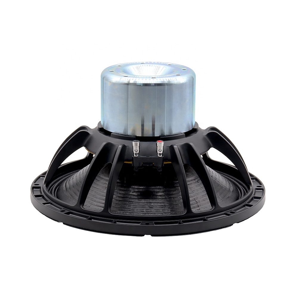 Nuevo Altavoz Profesional de A - Subwoofer reseña y precio