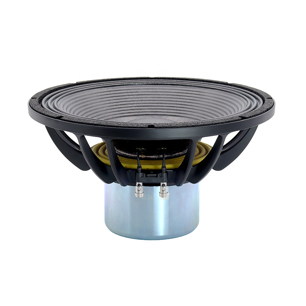 Nuevo Altavoz Profesional de A - Subwoofer reseña y precio