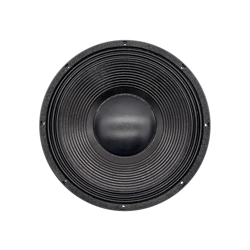 Nuevo Altavoz Profesional de A - Subwoofer reseña y precio