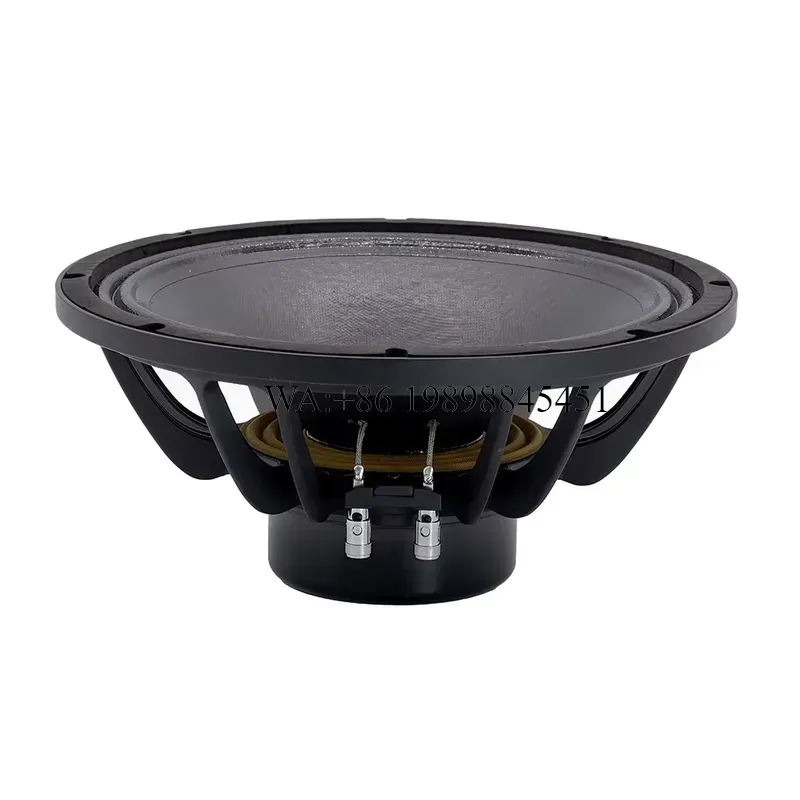 Sistema de audio profesional W - Speaker Driver reseña y precio