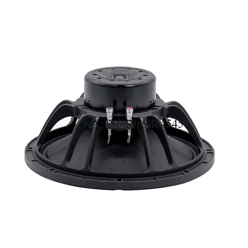 Sistema de audio profesional W - Speaker Driver reseña y precio
