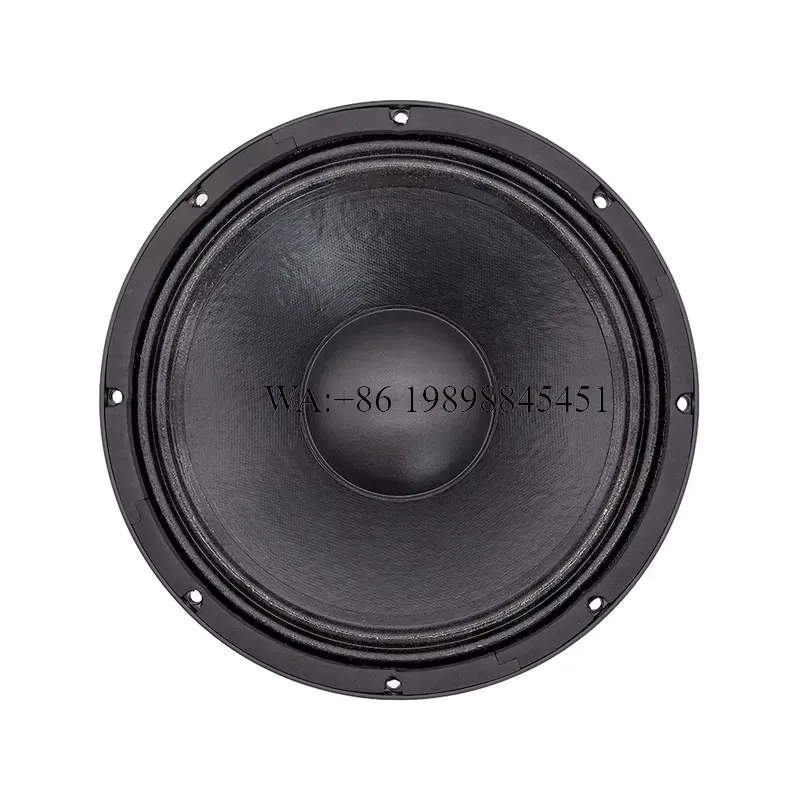 Sistema de audio profesional W - Speaker Driver reseña y precio