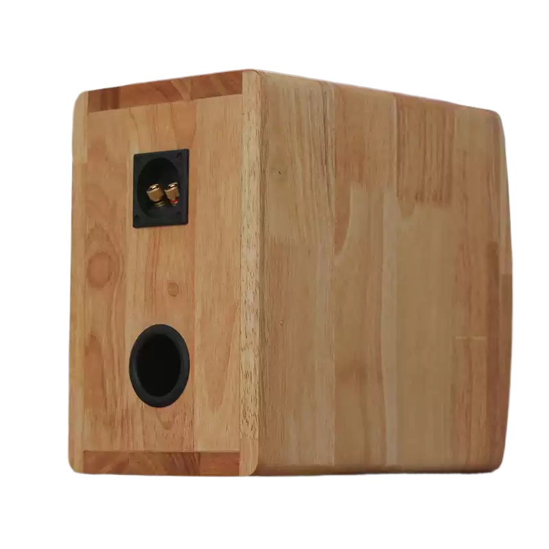 DZ‑06 Unidad de Altavoz Coaxia - Speaker Driver reseña y precio